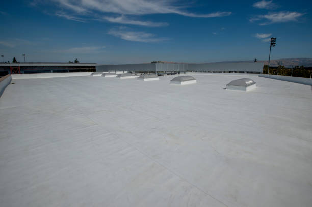 Roof Coating Services in Arthur, IL