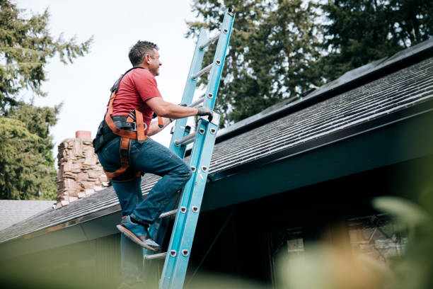 Best Storm Damage Roof Repair  in Arthur, IL