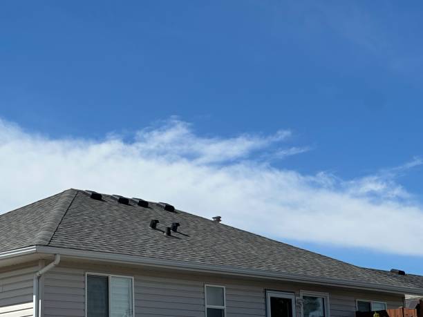 Best Metal Roofing Installation  in Arthur, IL